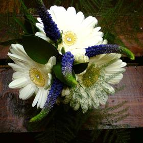 fwthumb01 bridesmaids handtie 40.00.jpg
